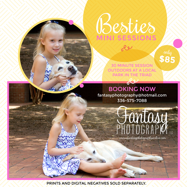 Pet Photographers Winston-Salem, Dog Photography Sessions
