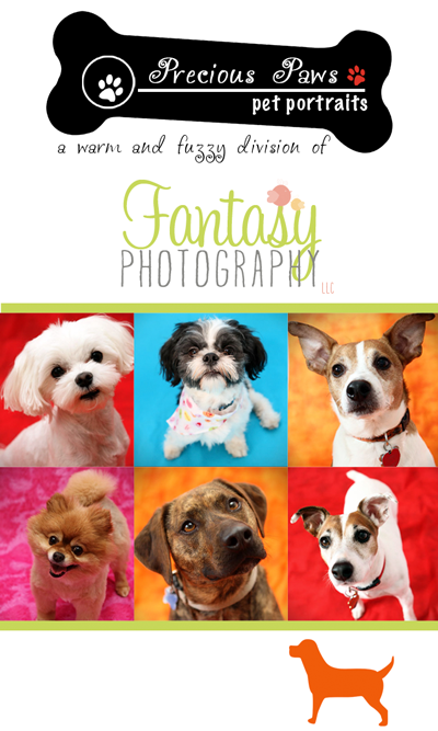 Winston Salem Pet Photography - Greensboro Dog Photographers